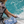 Wet | Dry Beach Pouch | Large | Bold & Blue-tiful